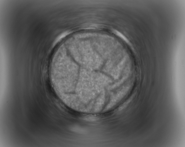 X0000083561259200703091609