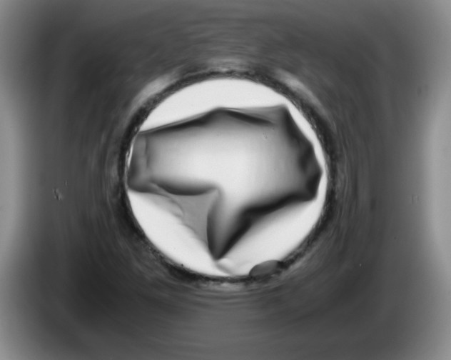 X0000083561261200703091609