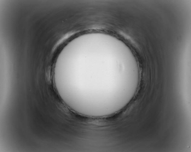 X0000083561262200703091609