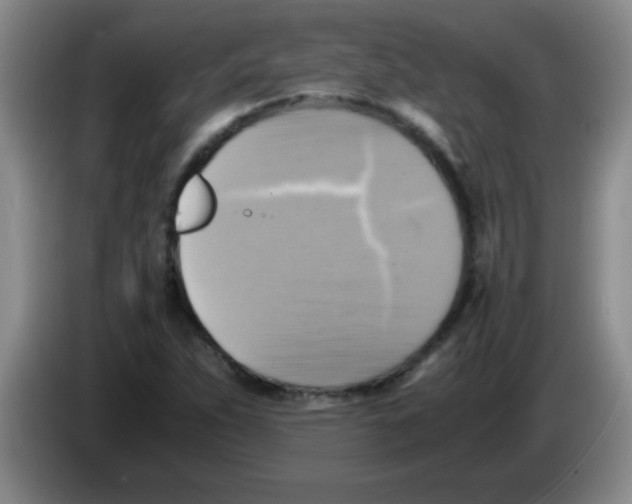 X0000083561263200703091609