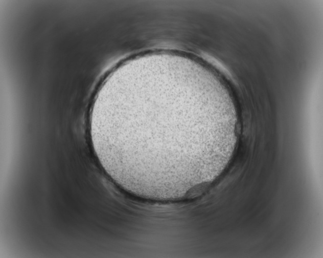 X0000083561264200703091609