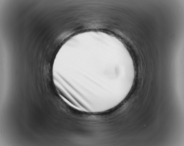 X0000083561265200703091609