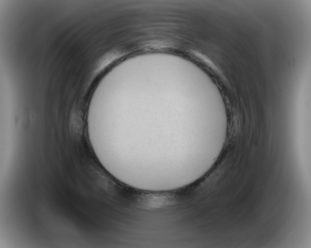 X0000083561266200703091609