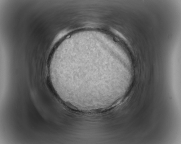 X0000083561267200703091609