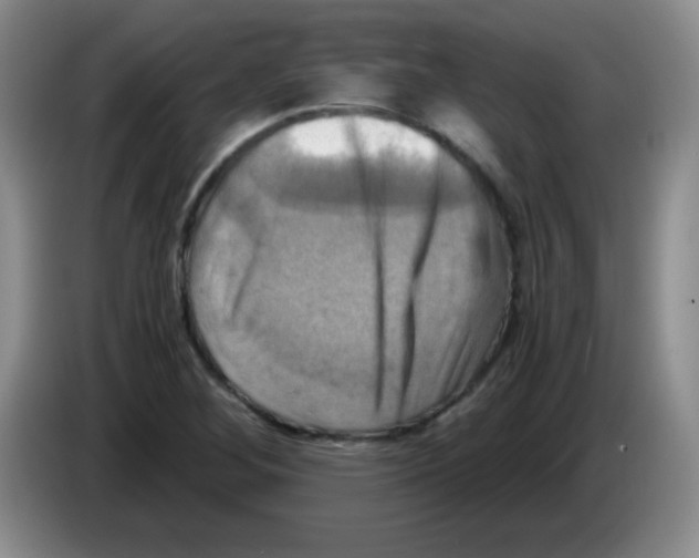 X0000083561268200703091609