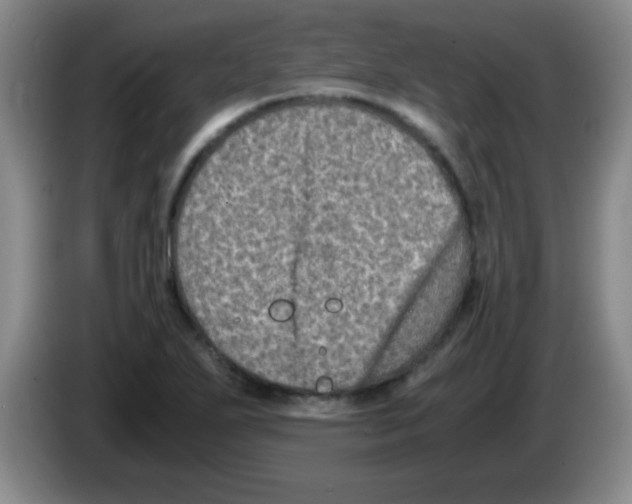 X0000083561271200703091609