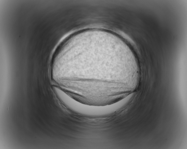 X0000083561272200703091609