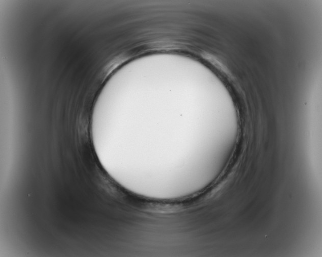 X0000083561273200703091609