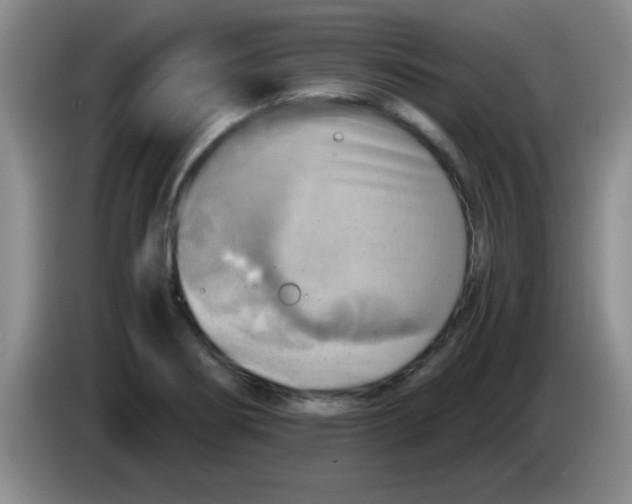 X0000083561274200703091609