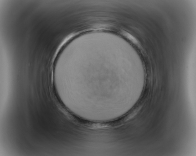 X0000083561275200703091609