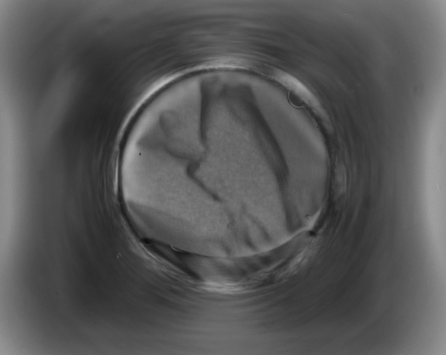 X0000083561276200703091609