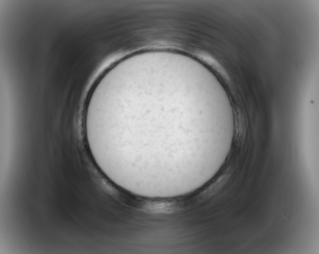 X0000083561278200703091609