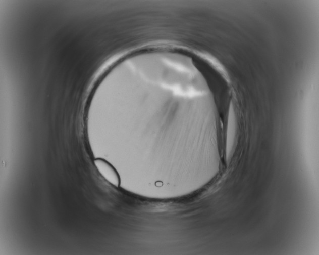 X0000083561279200703091609