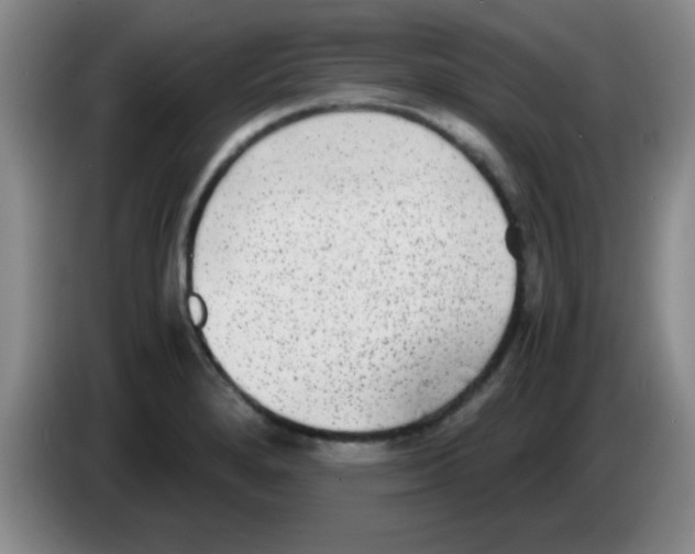 X0000083561280200703091609