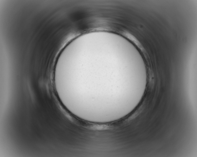 X0000083561282200703091608