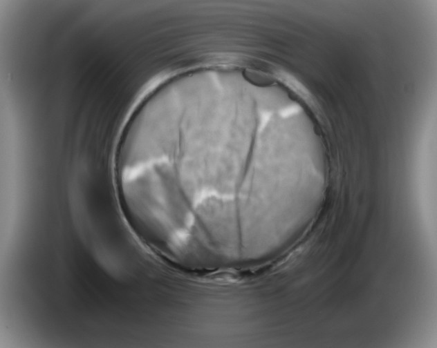 X0000083561283200703091608