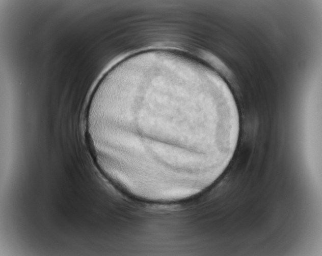 X0000083561284200703091608