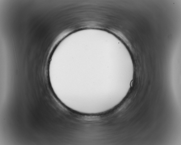 X0000083561285200703091608