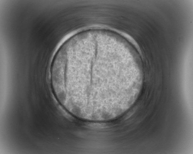 X0000083561287200703091608