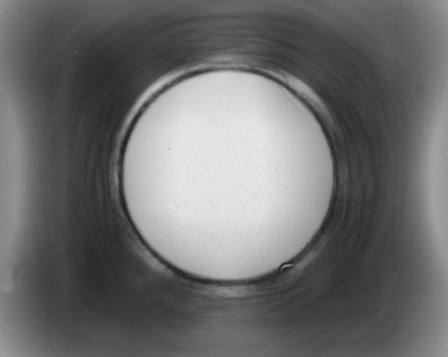 X0000083561288200703091608