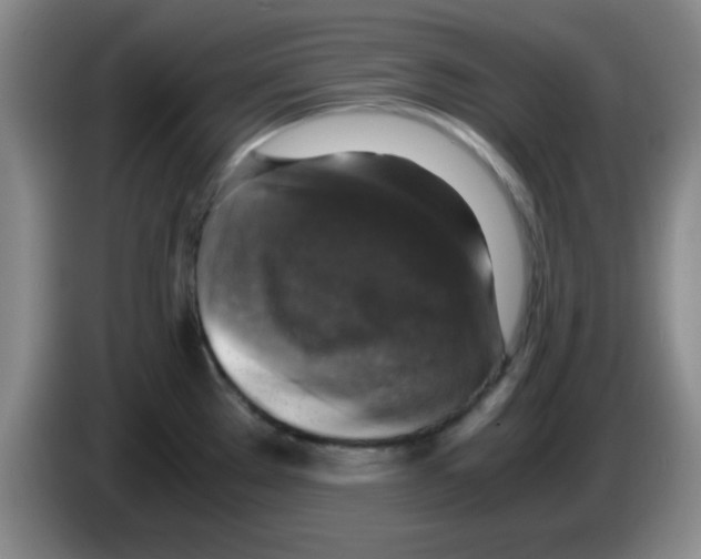 X0000083561289200703091608