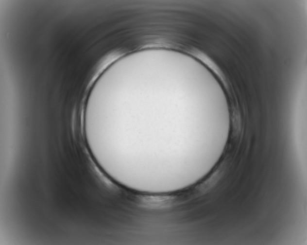 X0000083561290200703091608