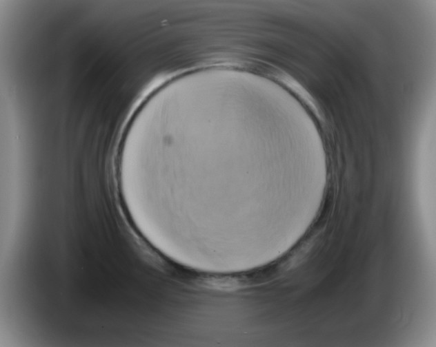 X0000083561291200703091608