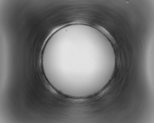 X0000083561292200703091608