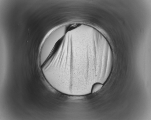 X0000083561296200703091608