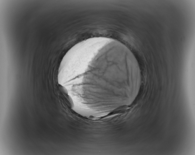 X0000083561297200703091608