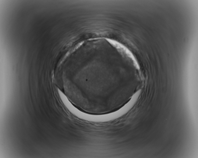 X0000083561298200703091608