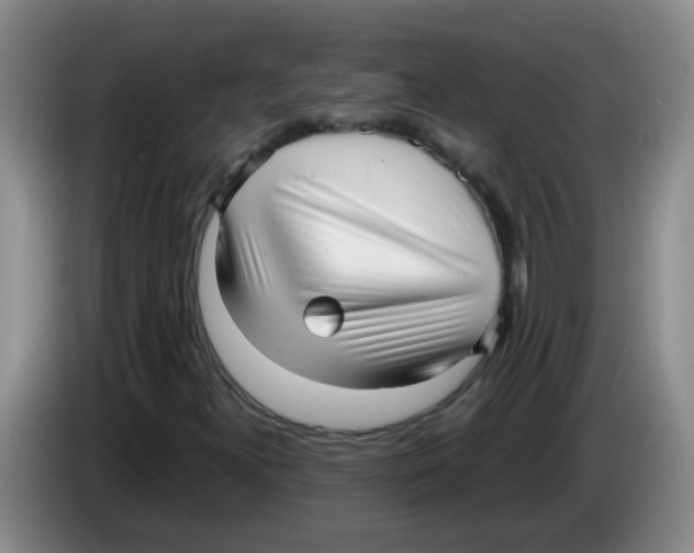 X0000083561300200703091608