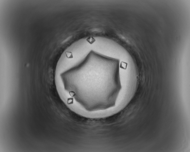 X0000083561301200703091608