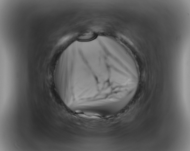 X0000083561303200703091608