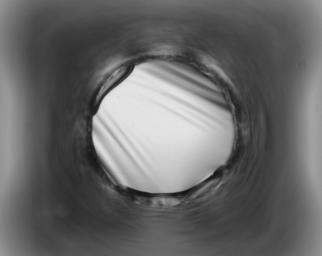 X0000083561304200703091608