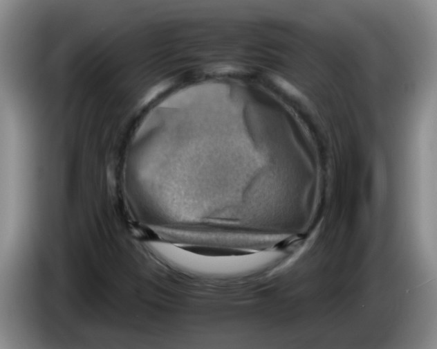 X0000083561305200703091608