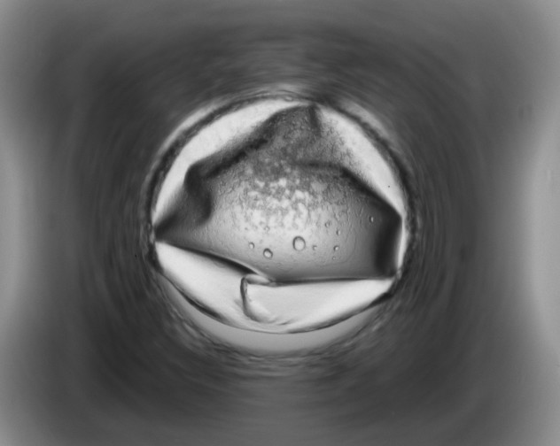 X0000083561308200703091608