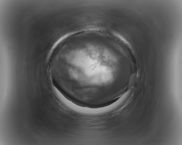 X0000083561310200703091608