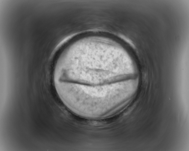 X0000083561311200703091608