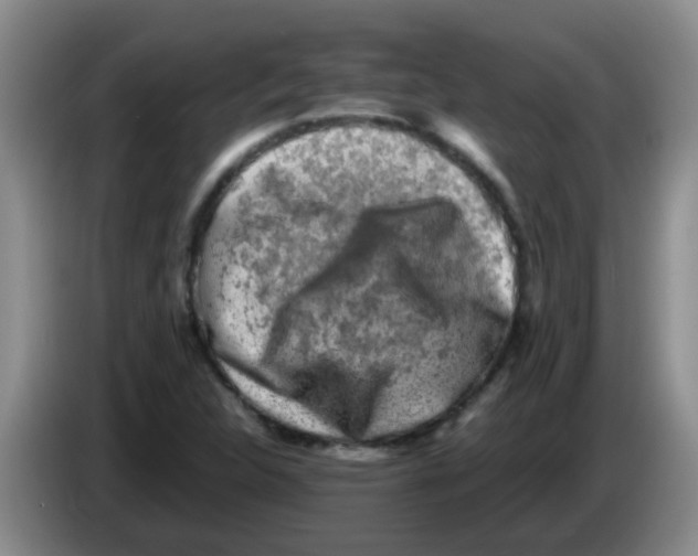 X0000083561312200703091608