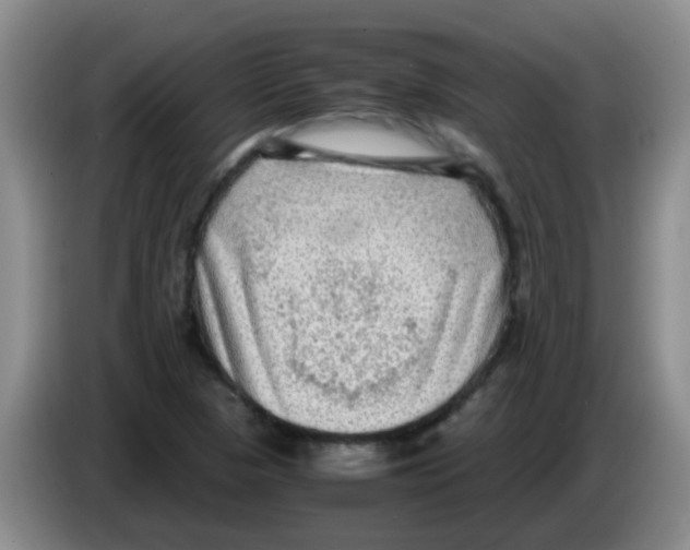 X0000083561313200703091608