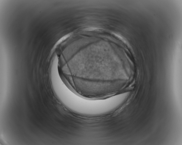 X0000083561314200703091608