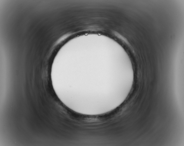 X0000083561315200703091608