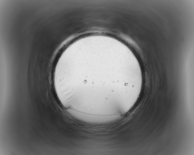 X0000083561318200703091608