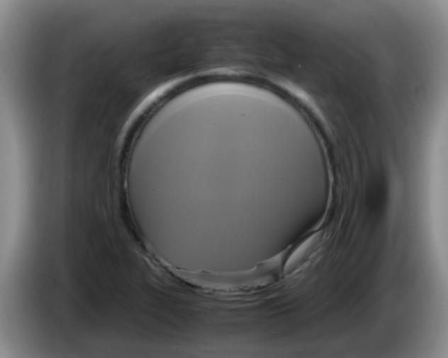 X0000083561319200703091608