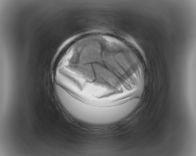 X0000083561320200703091608