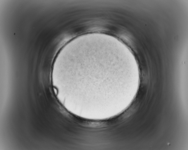 X0000083561322200703091608