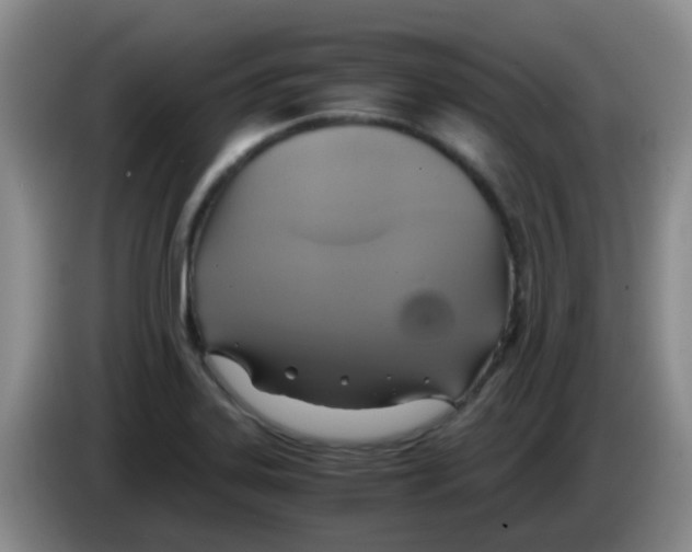 X0000083561323200703091608