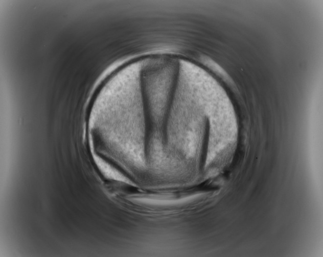 X0000083561324200703091608