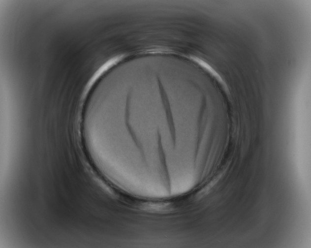 X0000083561325200703091608